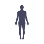 body_human_M_02